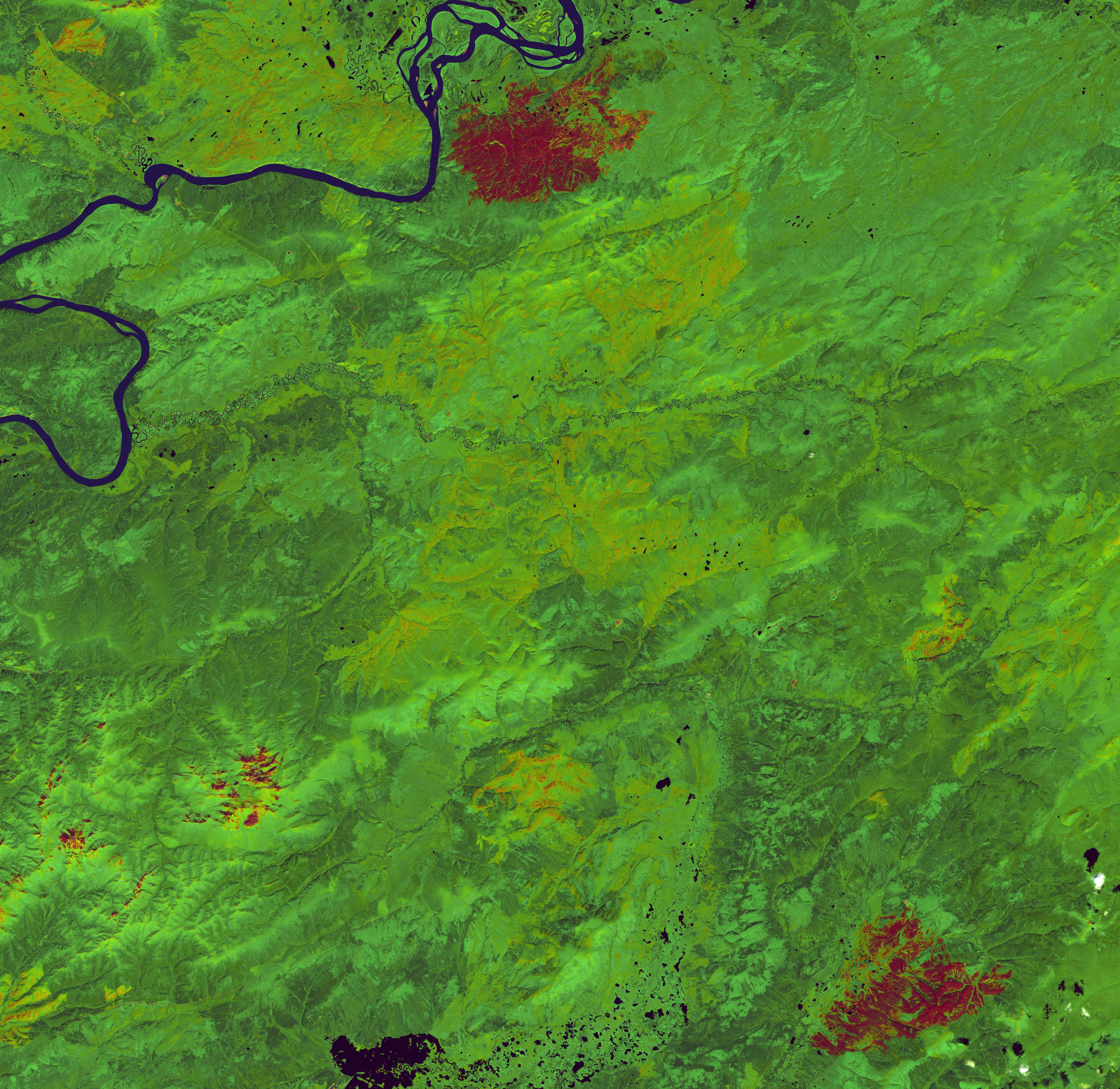 Alaska in Flux: Wildfire Recovery Paints Alaska Green - related image preview