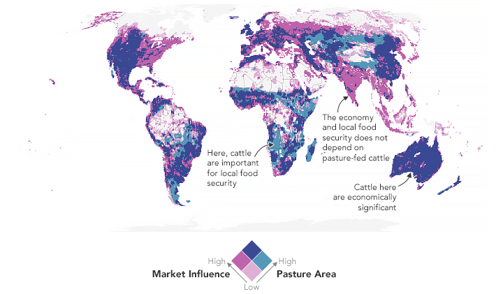 Unstable Precipitation Leads to Unstable Pastures - related image preview