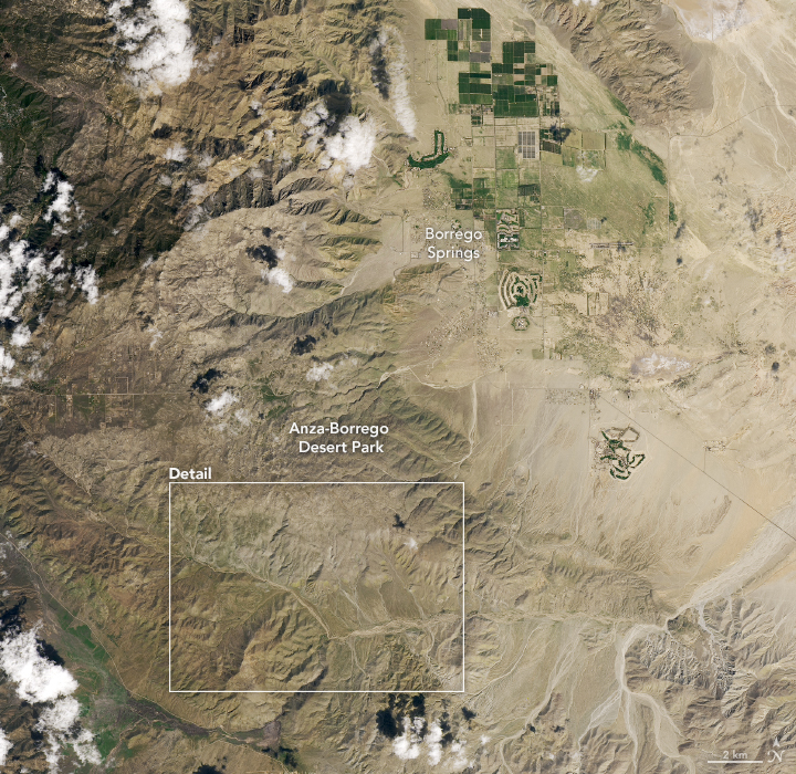 Wildflower Super Bloom Returns to California