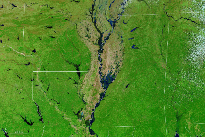The Mississippi and Missouri are Badly Swollen - related image preview