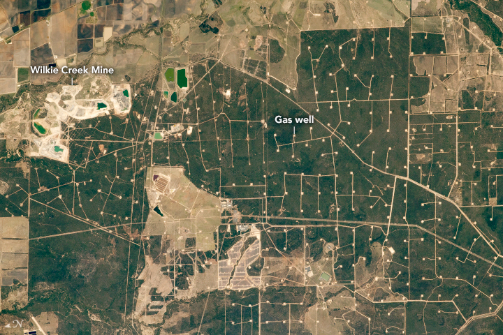 Coal and Cattle in Southern Queensland