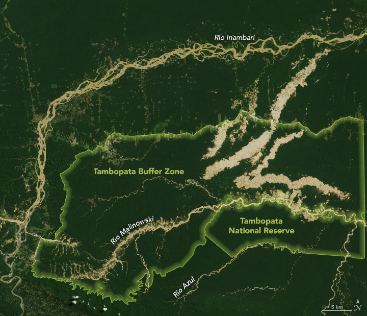 Tracking Peruvian Forest Loss from Space - related image preview