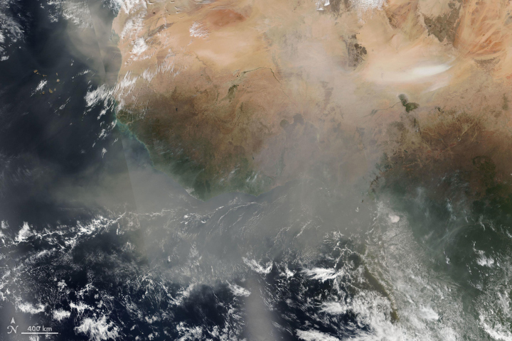 Choking on Saharan Dust - related image preview