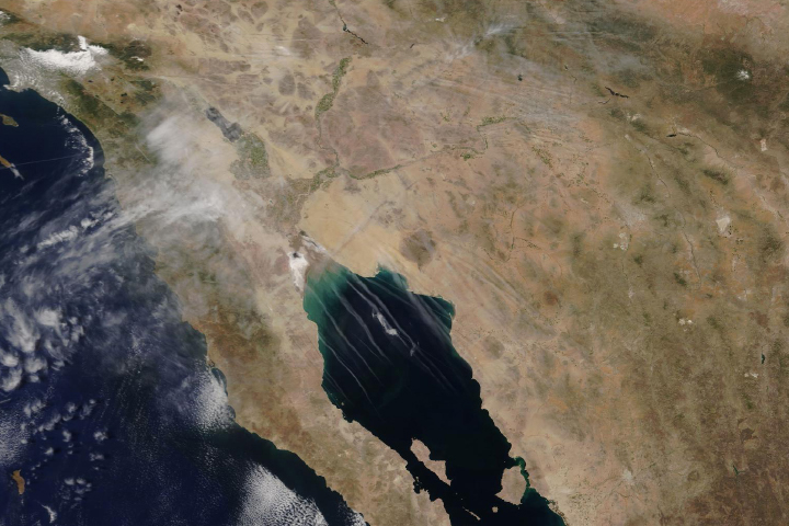 Contrails Over the Gulf of California