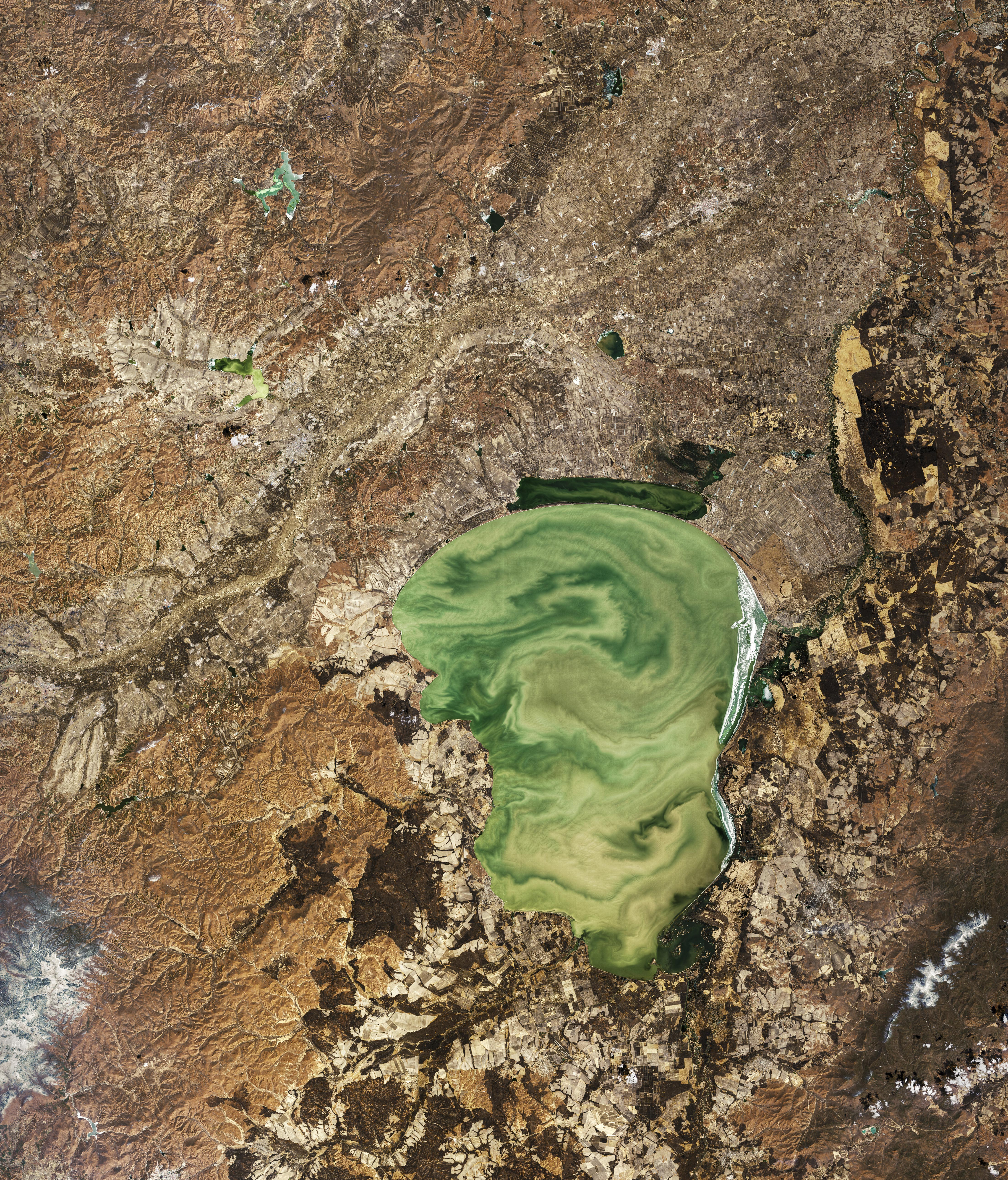 Eerie Green Swirls of Lake Khanka - related image preview