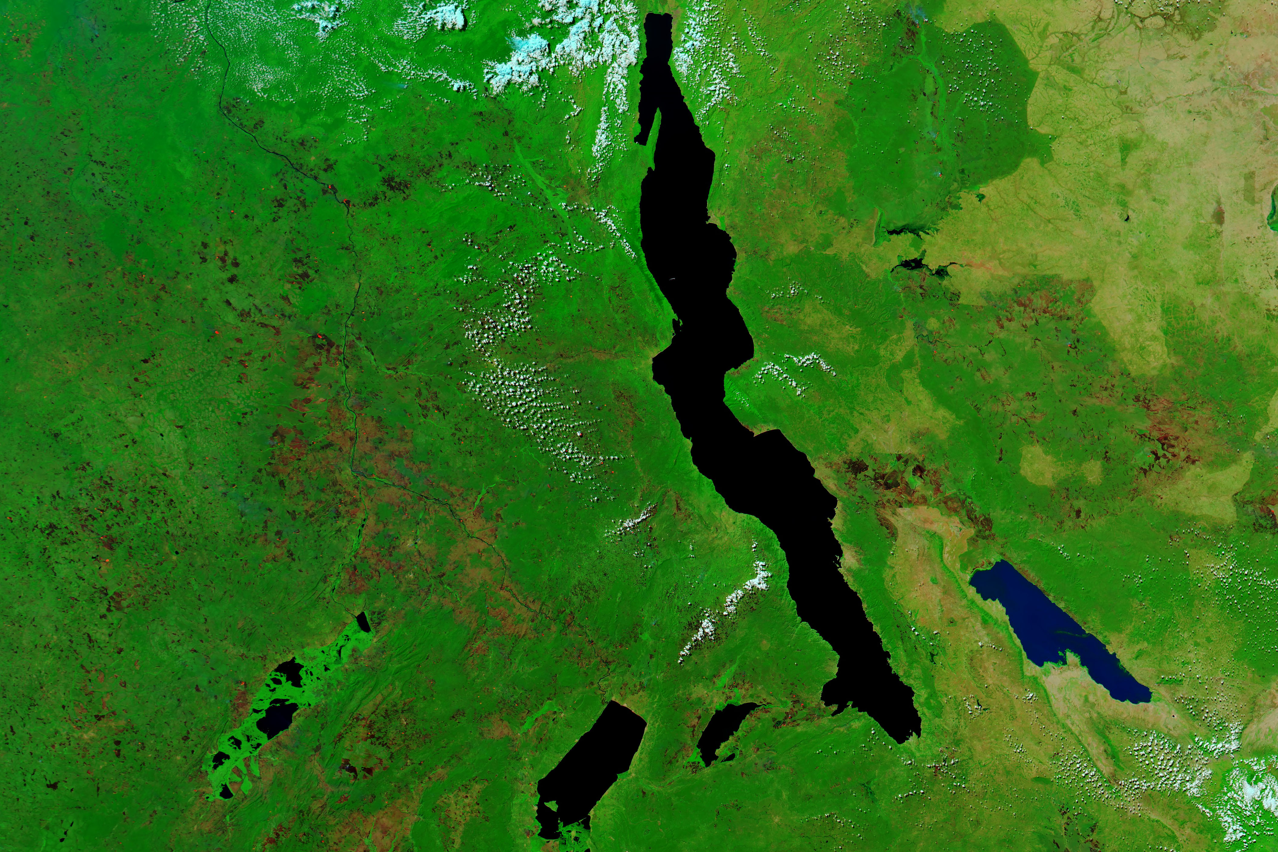 A Tale of Contrasting Rift Valley Lakes - related image preview