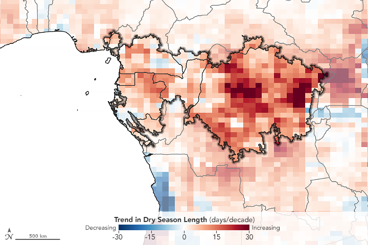 A Longer Dry Season in the Congo Rainforest - related image preview