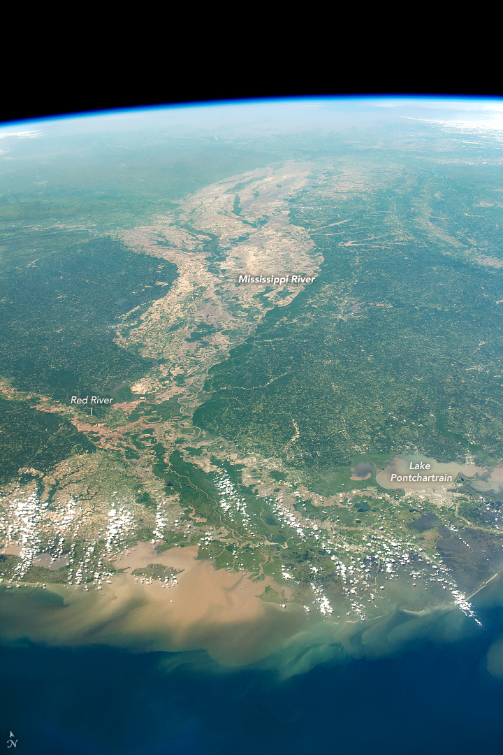 Long View of the Mississippi River Delta