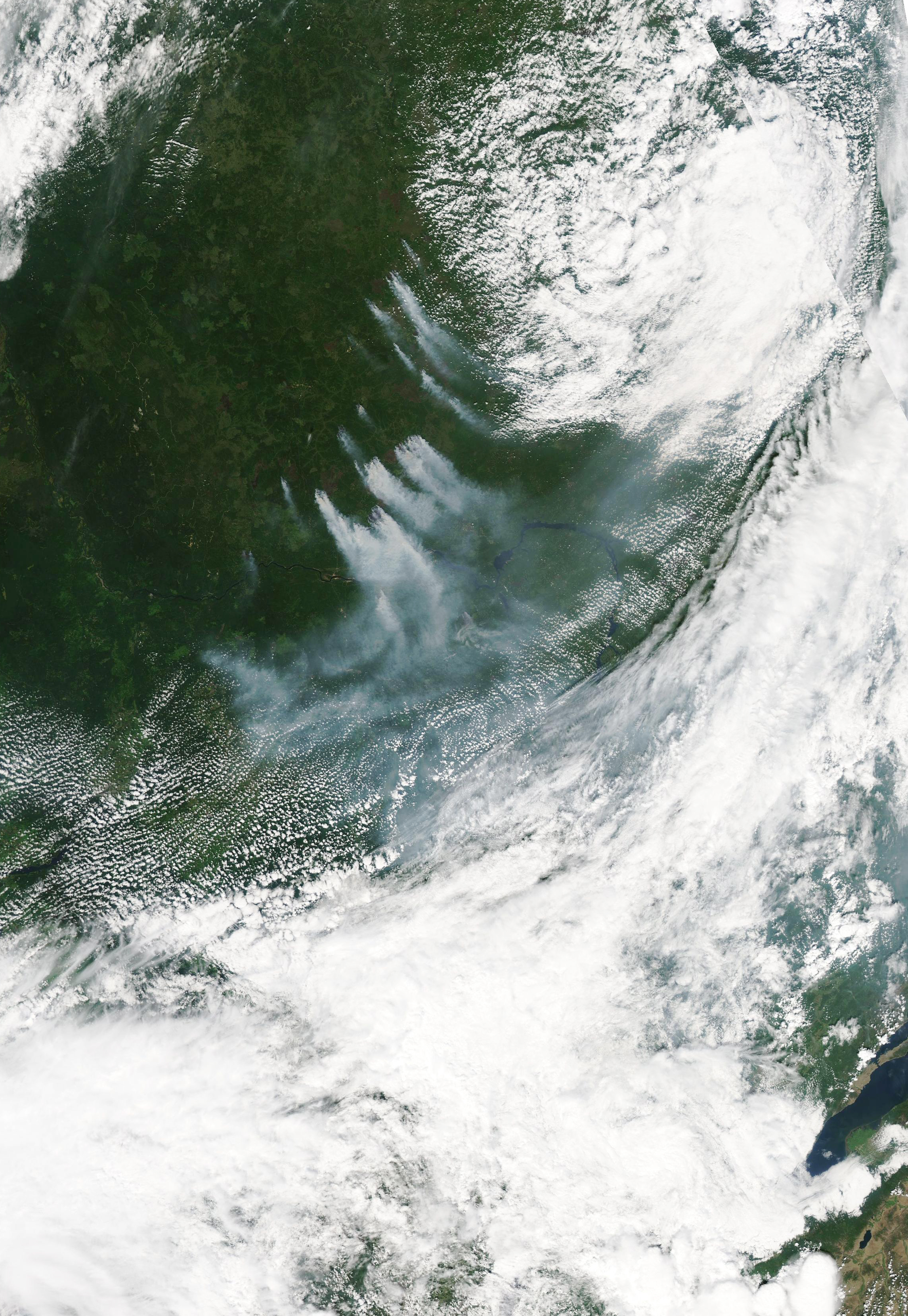 Wildfires in Krasnoyarsk - related image preview