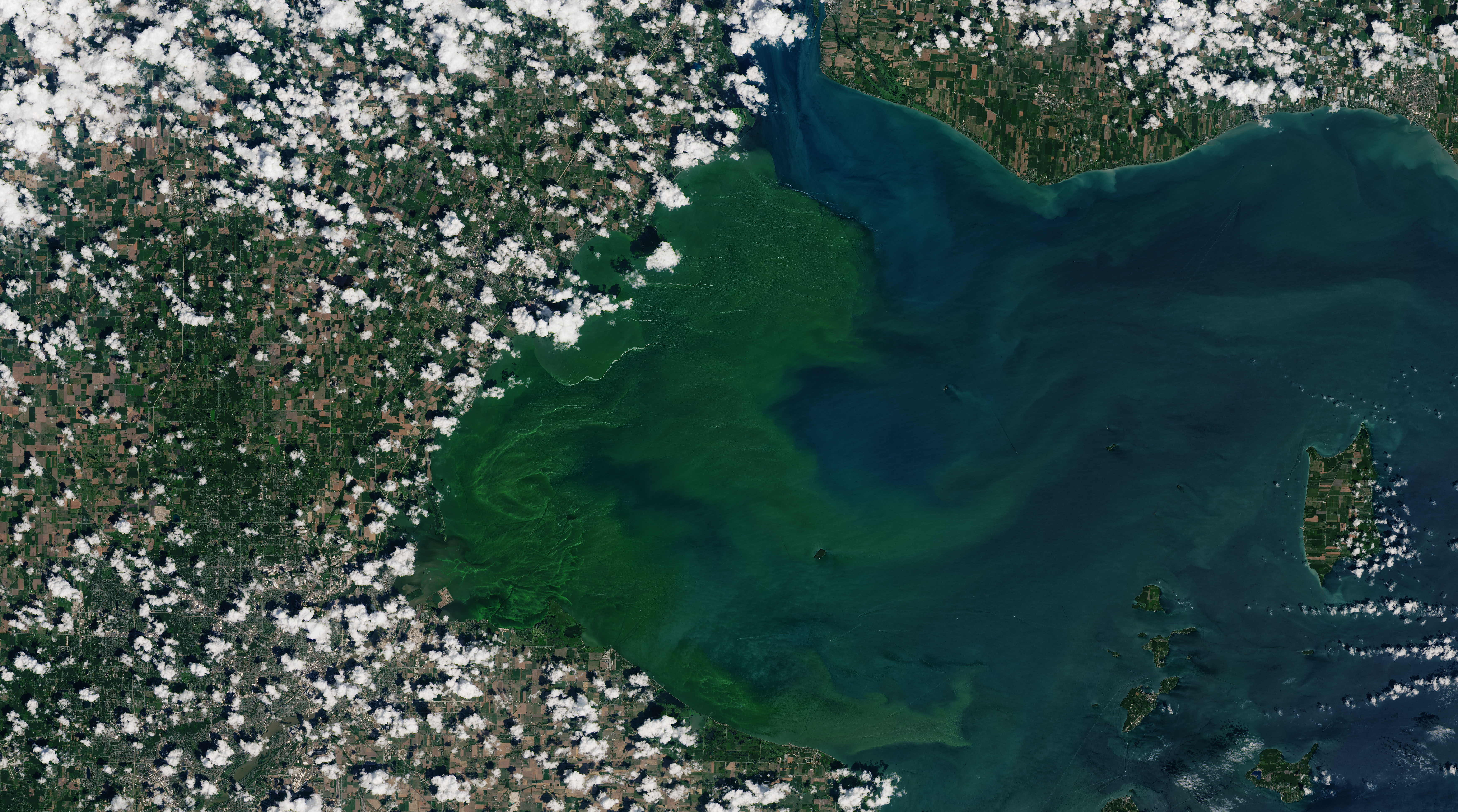 Eerie Blooms in Lake Erie - related image preview