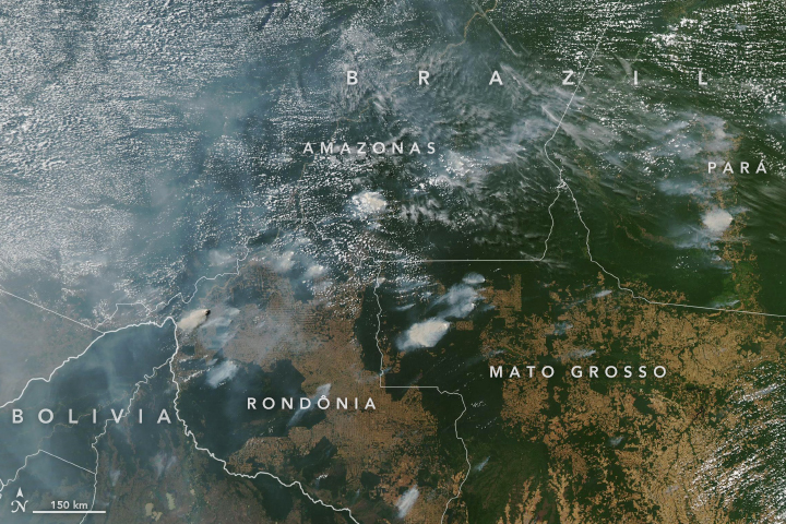 Fires in Brazil - related image preview