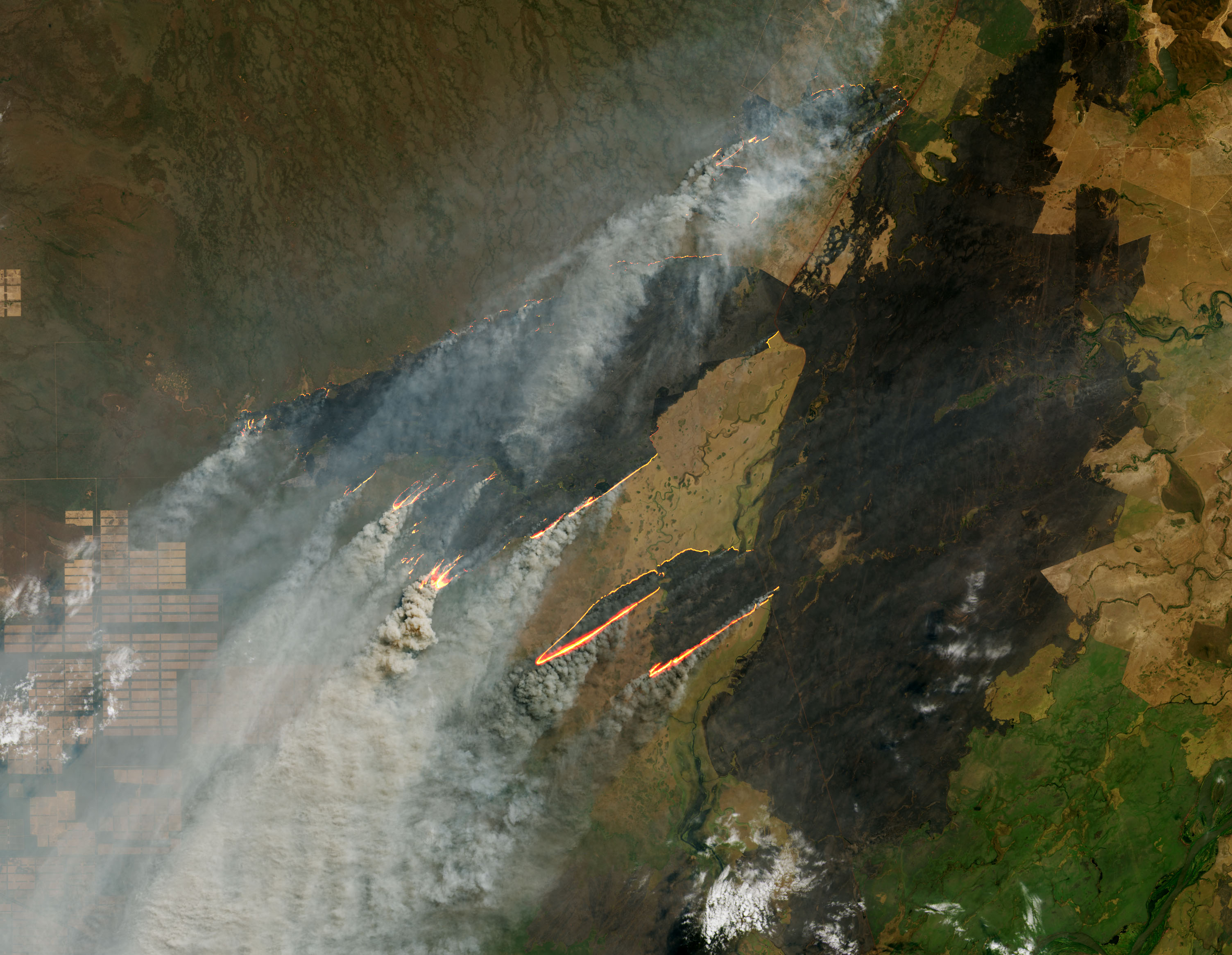 Fire Burns in Paraguay, Bolivia, and Brazil - related image preview
