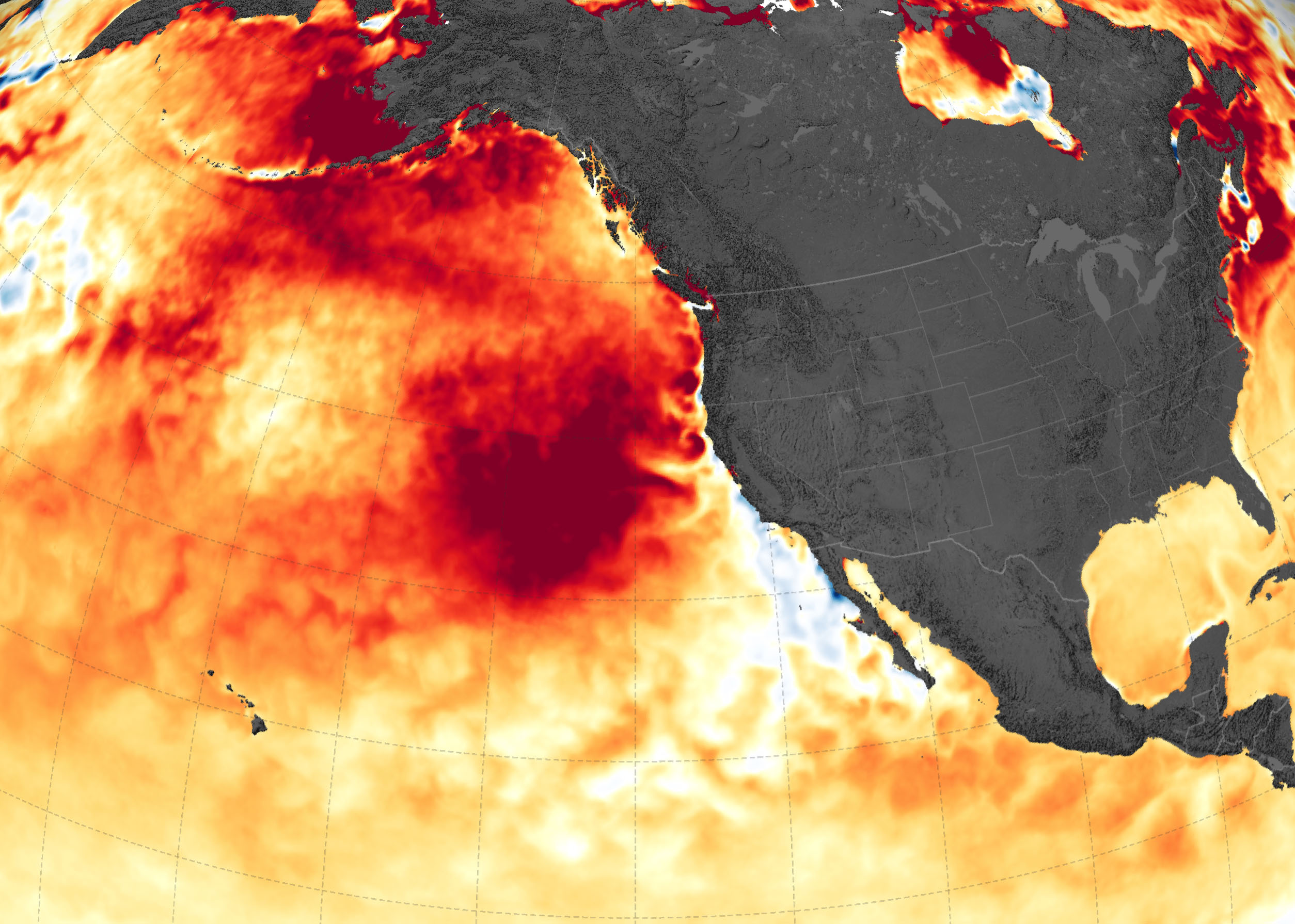 Marine Heat Wave Returns to the Northeast Pacific