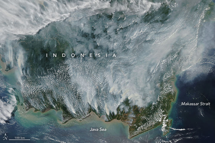 Smoke Blankets Borneo