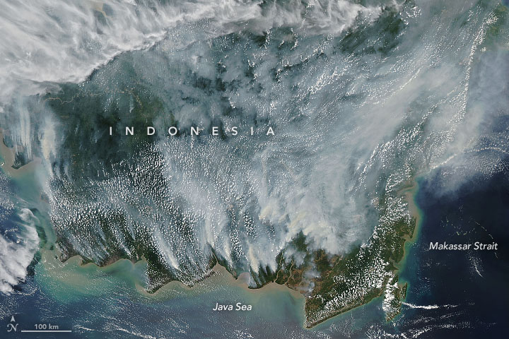 Penampakan Kalimantan dari satelit NASA, Sabtu (14/9/2019).