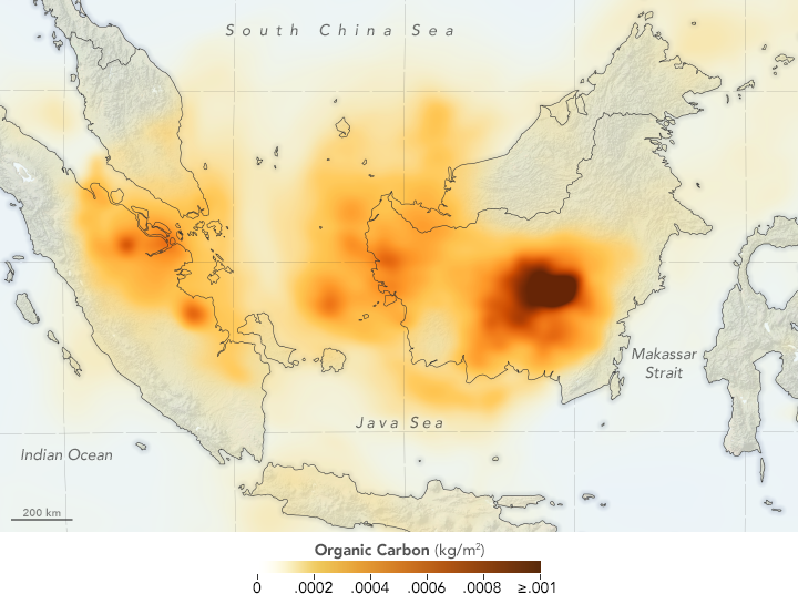 Smoke Blankets Borneo - related image preview