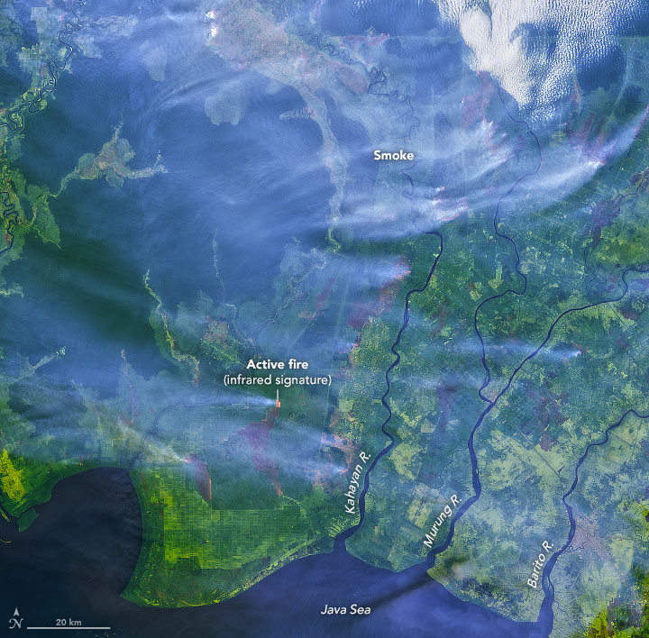 Smoke Blankets Borneo - related image preview