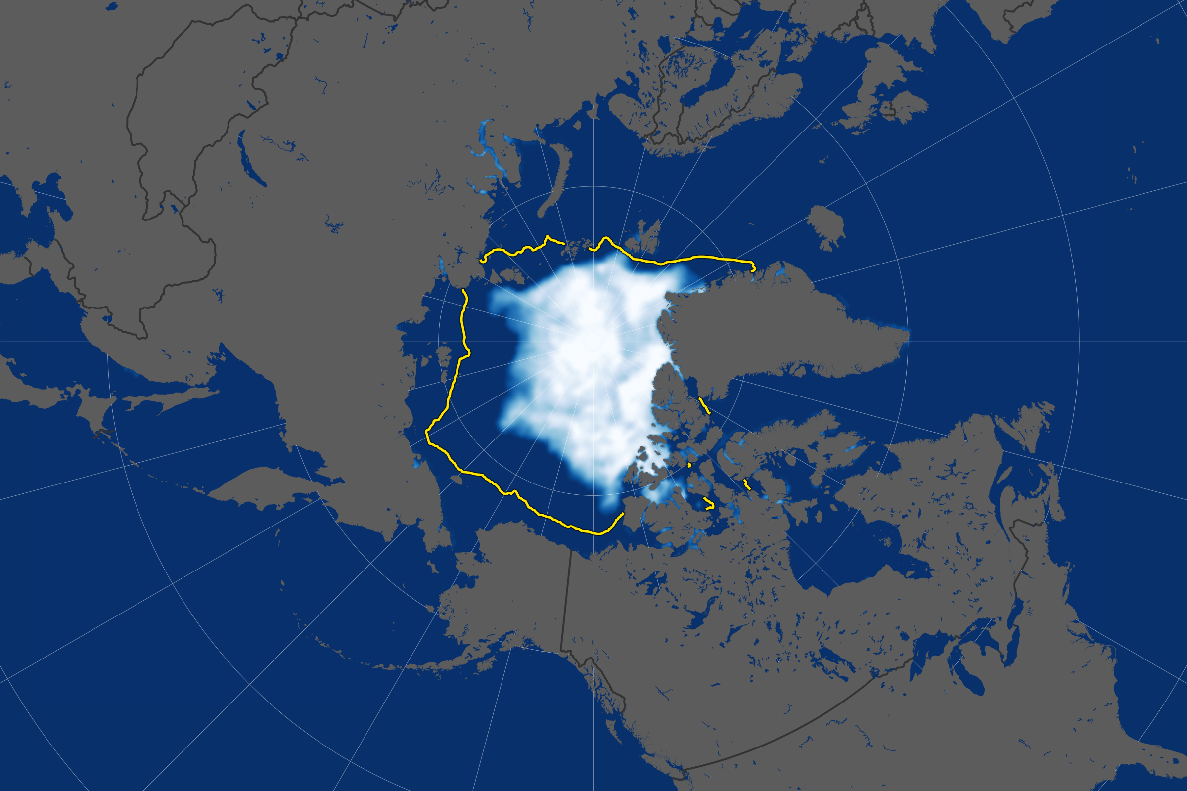 Arctic Ssi 2019261 Lrg 