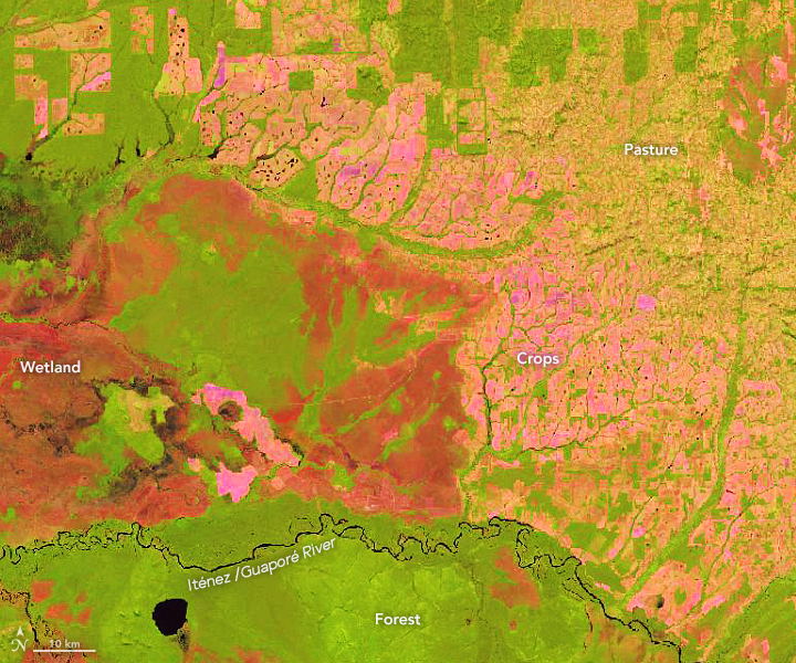 Amazon River Delta Map
