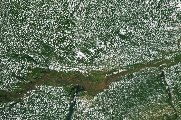Mapping The Amazon