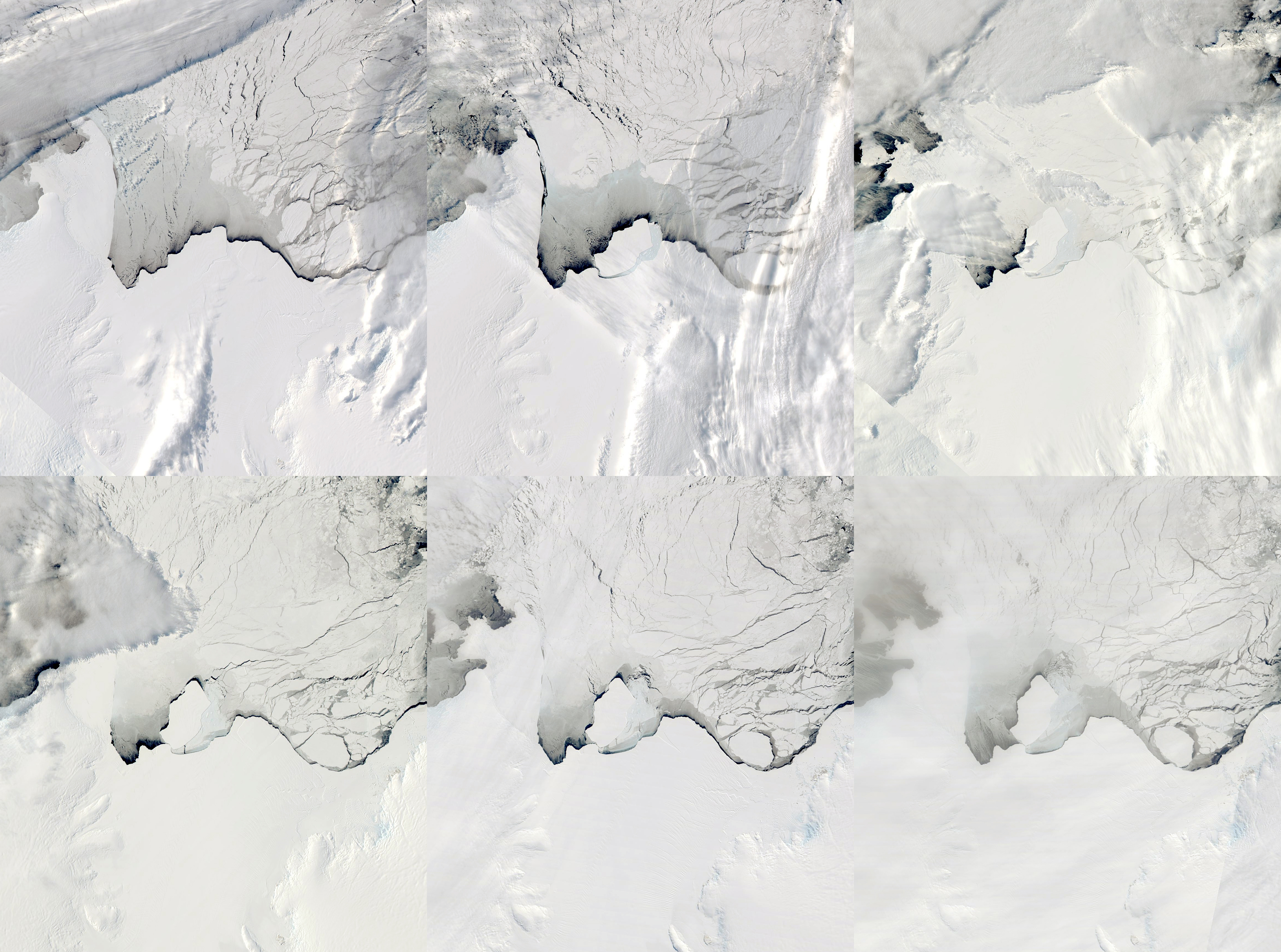 Rifting and Calving on the Amery Ice Shelf - related image preview