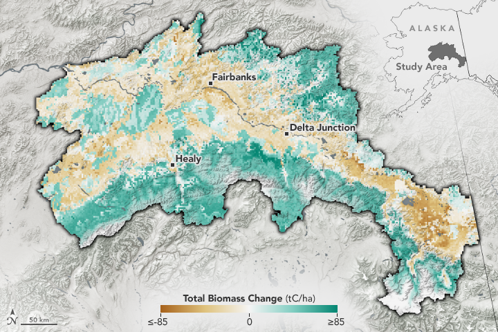 Warmer, Drier Climate Could Transform Alaskan Forests