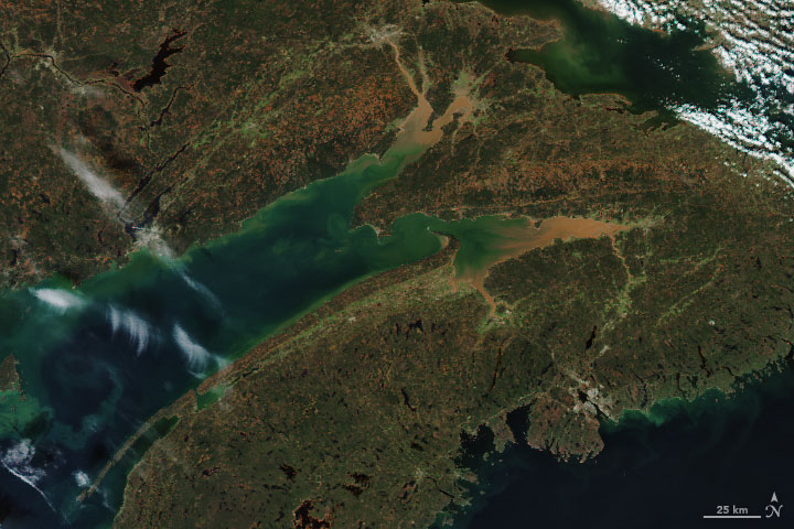 Massive Muddy Tides in the Bay of Fundy - related image preview
