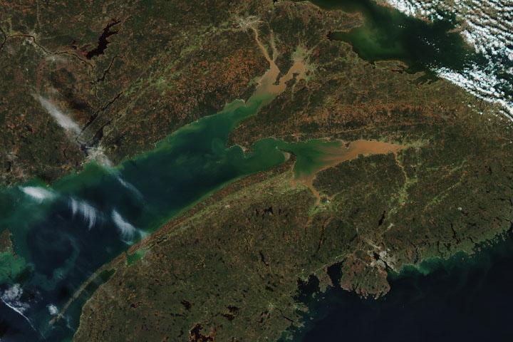 High tides, high adrenaline: the Bay of Fundy