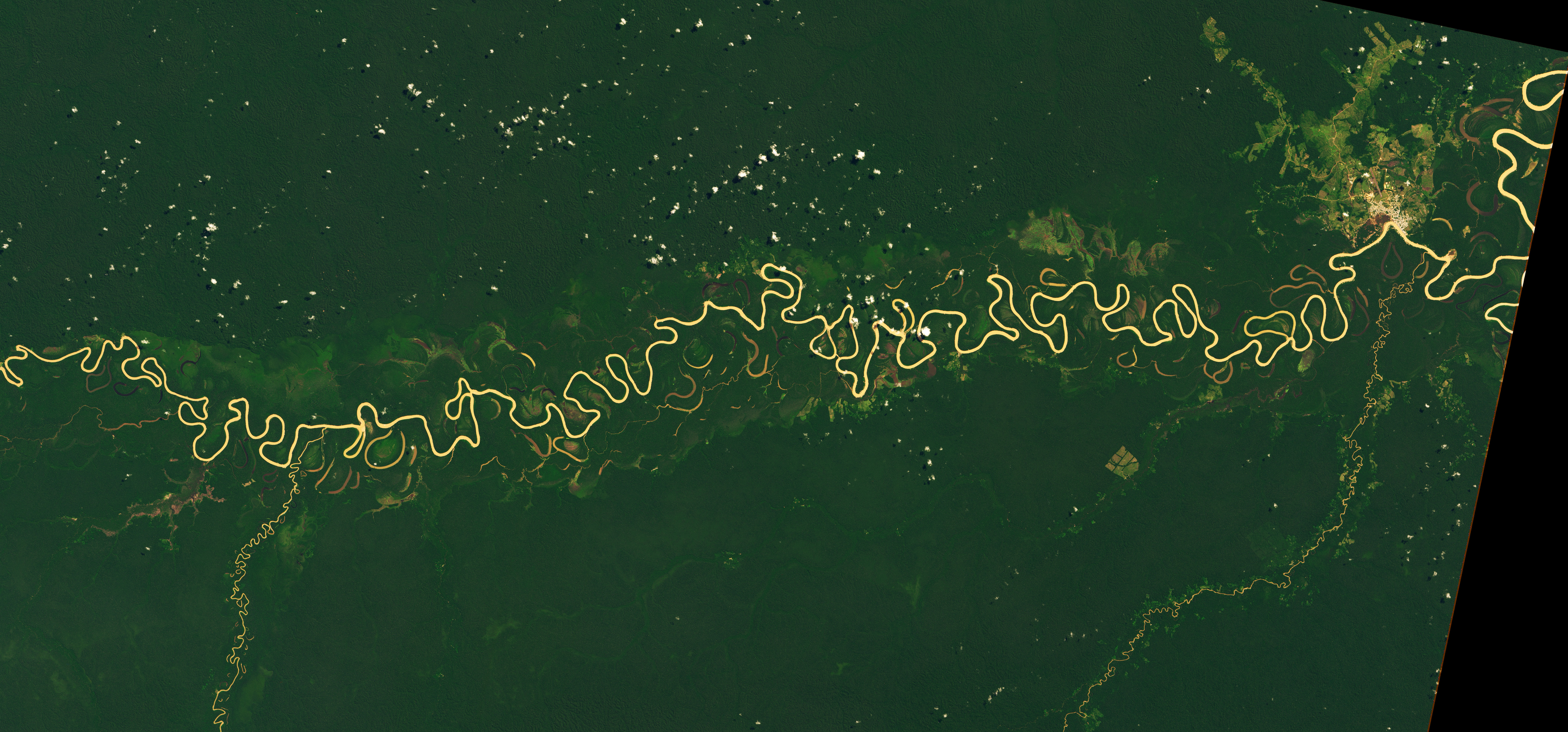 The Many Meanders of the Juruá - related image preview