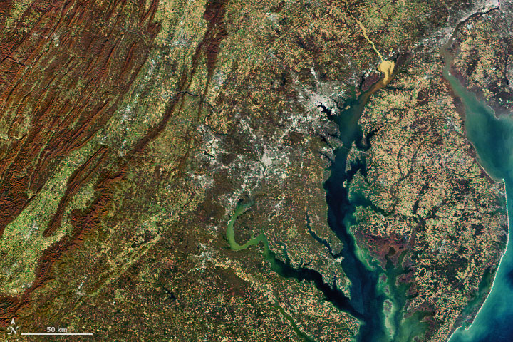 Susquehanna Sediment in the Chesapeake Bay - related image preview