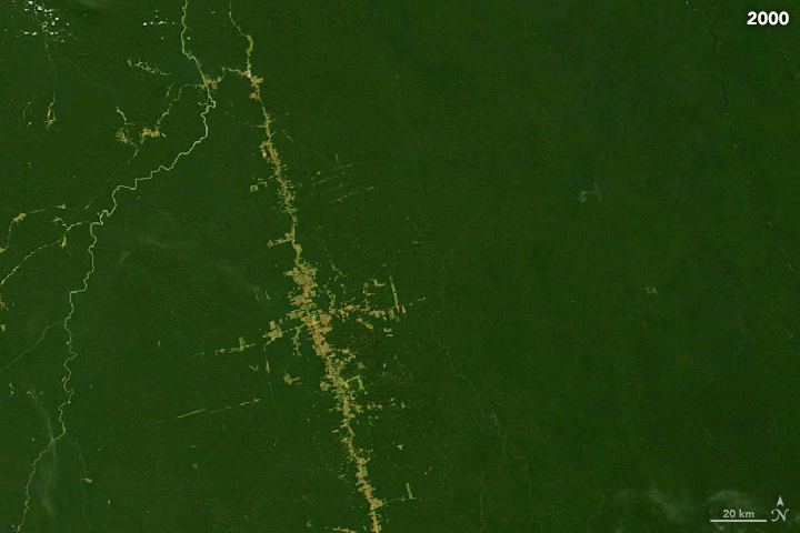 Making Sense of Amazon Deforestation Patterns - related image preview