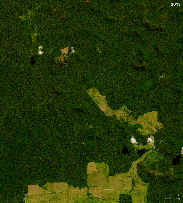 Making Sense of Amazon Deforestation Patterns - related image preview