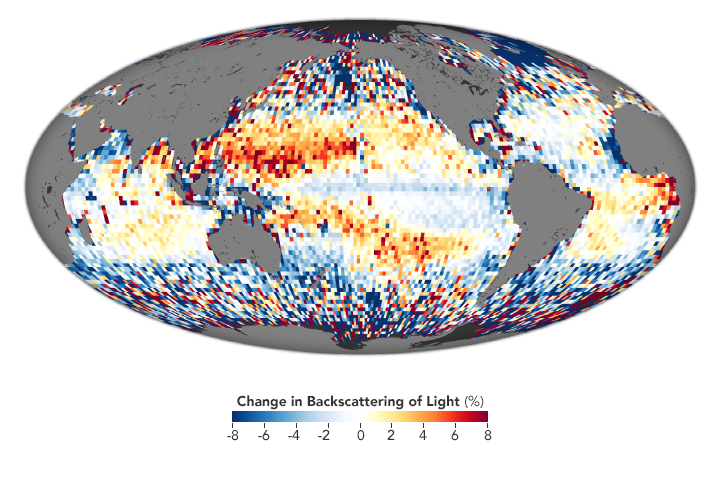 Satellite Observes Massive Ocean Migration