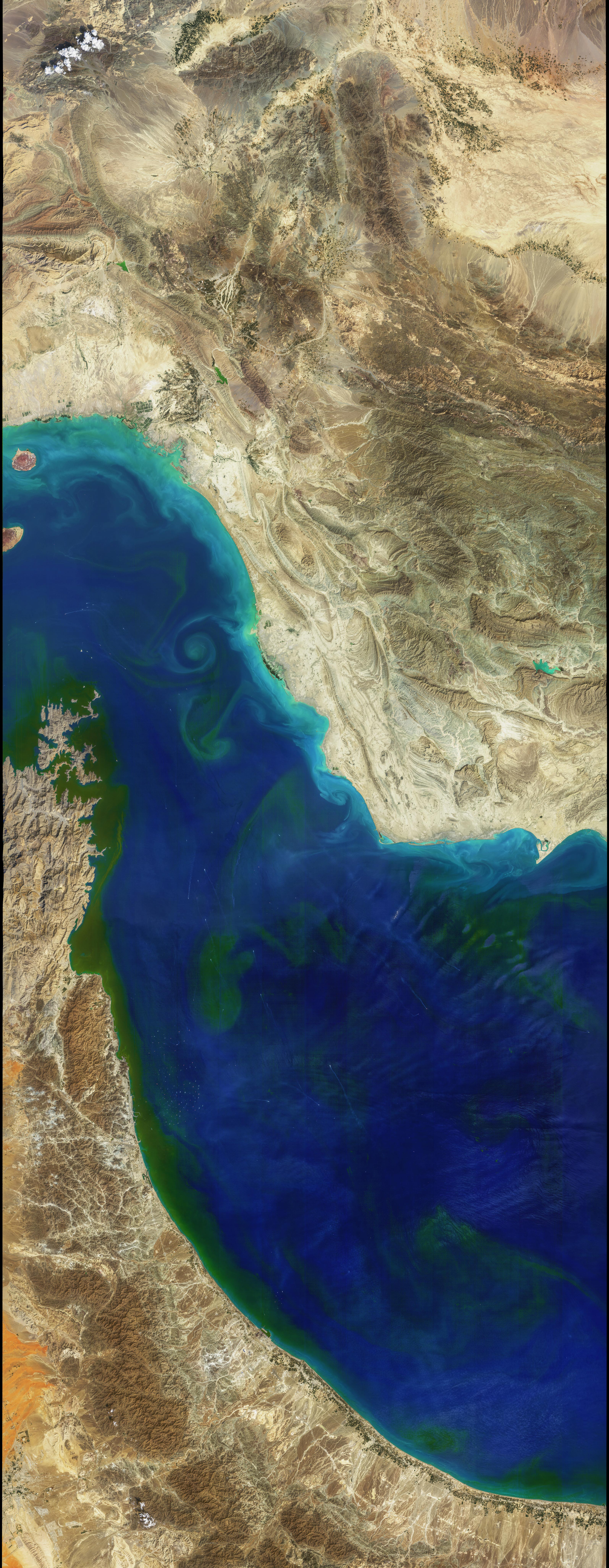 A Bloom in the Strait of Hormuz - related image preview