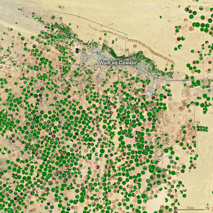 Desert Crops Thrive as the Aquifer Shrinks