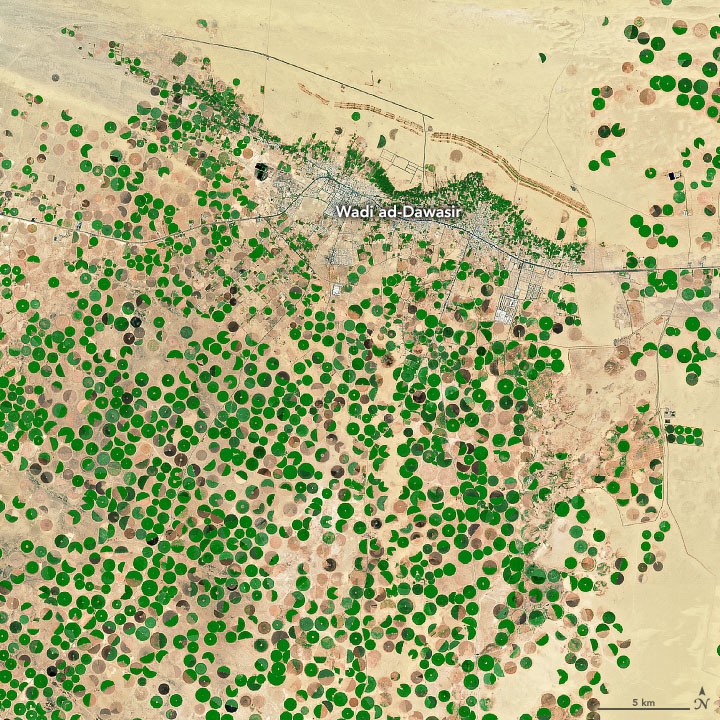 Desert Crops Thrive As The Aquifer Shrinks