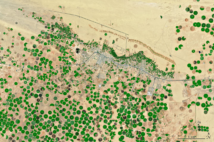 Desert Crops Thrive as the Aquifer Shrinks - related image preview