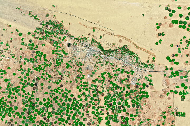 Desert Crops Thrive as the Aquifer Shrinks