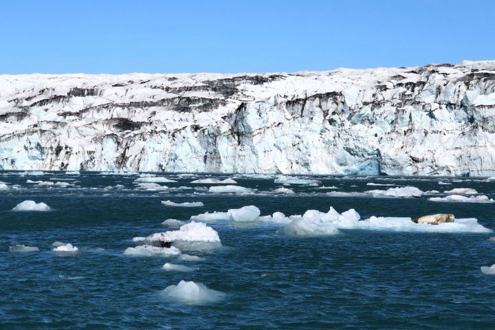 Iceland’s Glacial Lagoon - related image preview