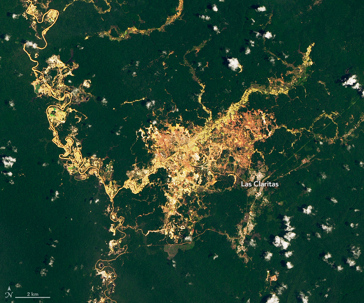 amazon rainforest deforestation satellite