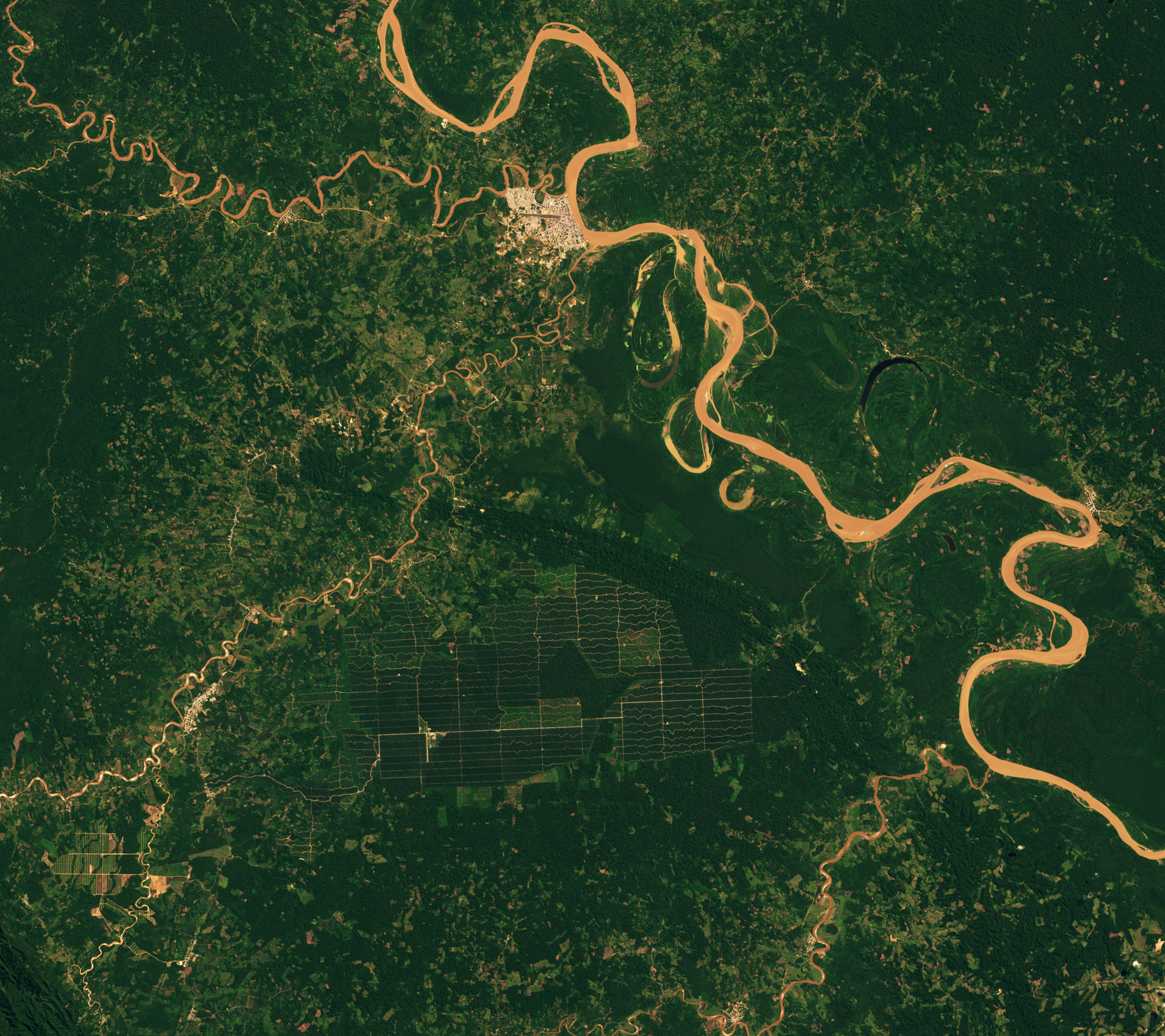 Tracking Amazon Deforestation from Above - related image preview