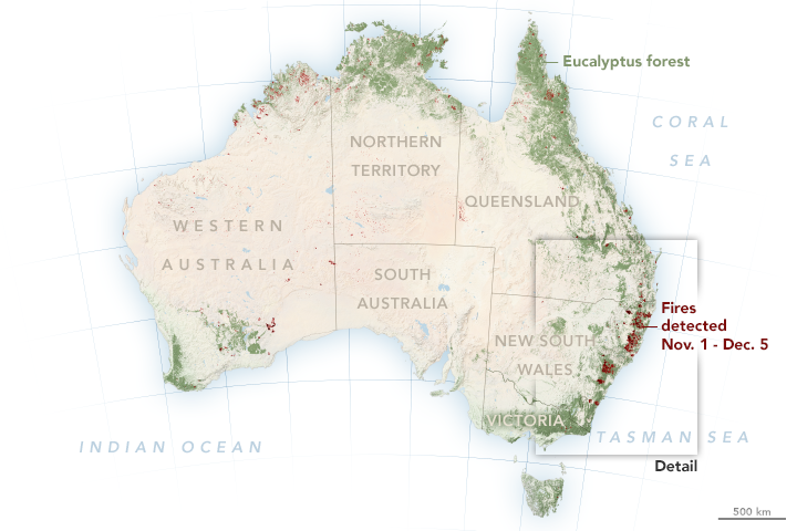 Fires Take a Toll on Australian Forests - related image preview