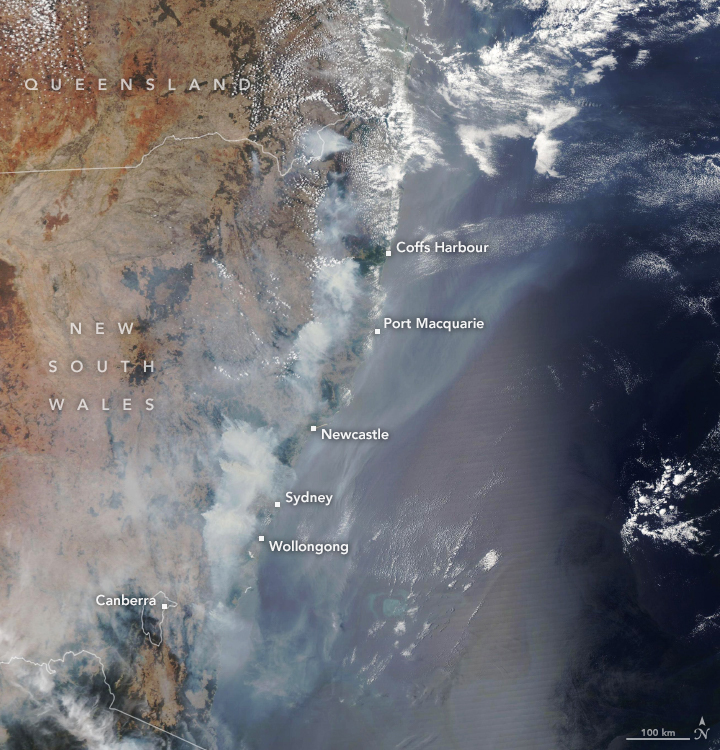 Fires Take a Toll on Australian Forests