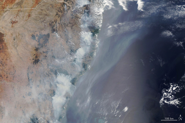 Fires Take a Toll on Australian Forests - related image preview