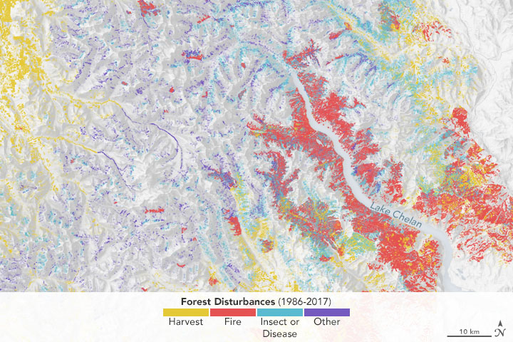 Spotting the Spotted Owl: 30 Years of Forest Disturbance - related image preview