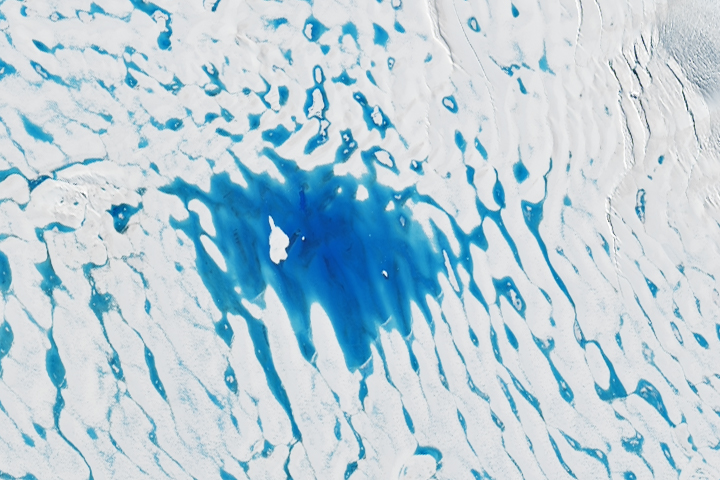Widespread Melt on the George VI Ice Shelf