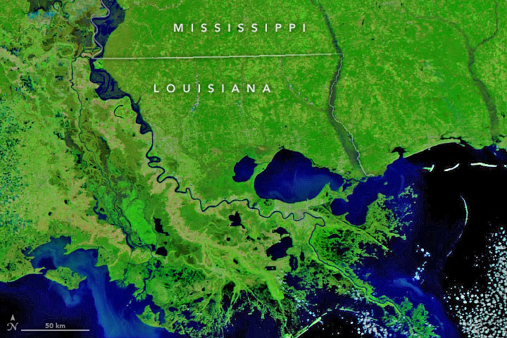 Winter Flooding in Mississippi and Louisiana - related image preview