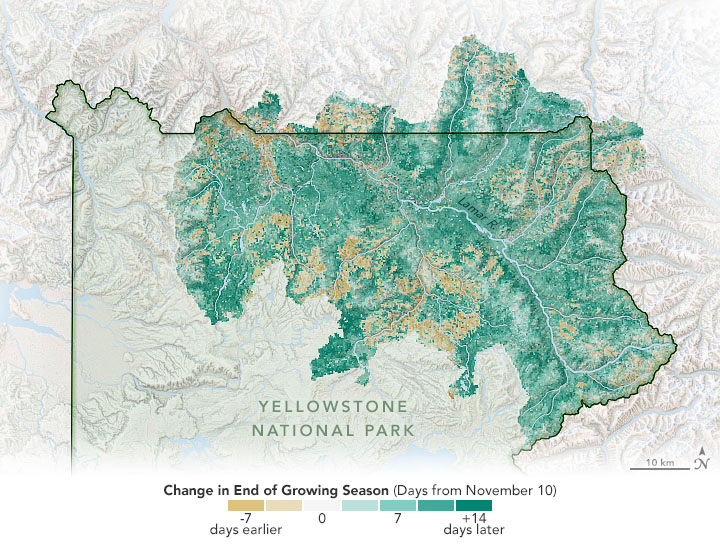 Satellite Observations Aid Bison Management