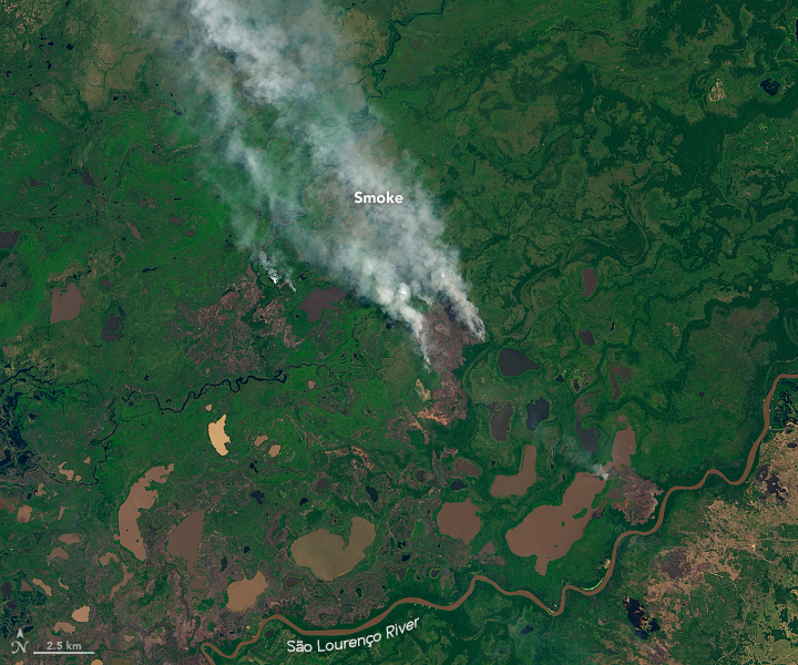 Fire in the Pantanal - related image preview