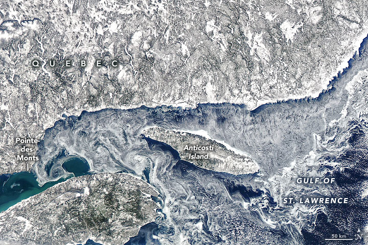 Ice Eddies in the Gulf of St. Lawrence